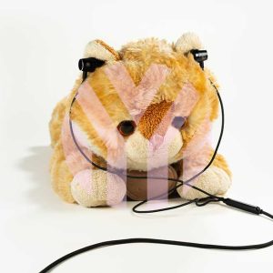 Headphone & Audio Accessories Promotion