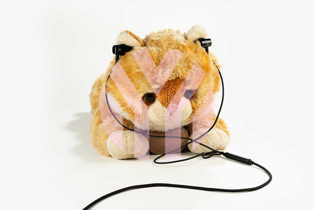 Headphone & Audio Accessories Promotion